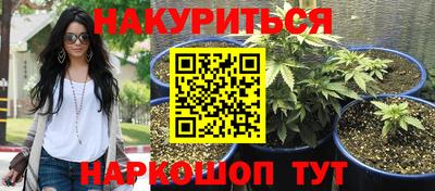 ГАЛЛЮЦИНОГЕННЫЕ ГРИБЫ Моздок